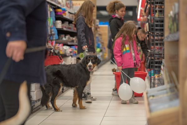 Pet Network International preuzima Pet Republic Group